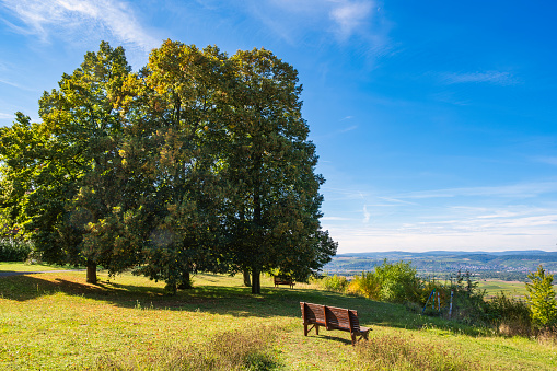 Resting bench with a view of the Rhineland-Palatinate wine region from Laurenziberg - Germany in autumn