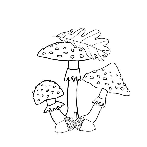 istock Composition of mushrooms with leaf and acorns. Hand drawn vector illustration. For coloring, cards, printing, packaging, invitations, business cards, advertising 1758170987