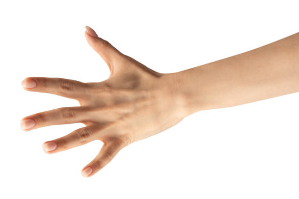 istock Woman hand isolated on a white background. 1758173787