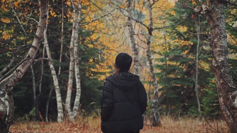 Woman walks through natural forest autumn, Tourist walk in autumn forest park, Outdoor adventure and wild nature travel concept.