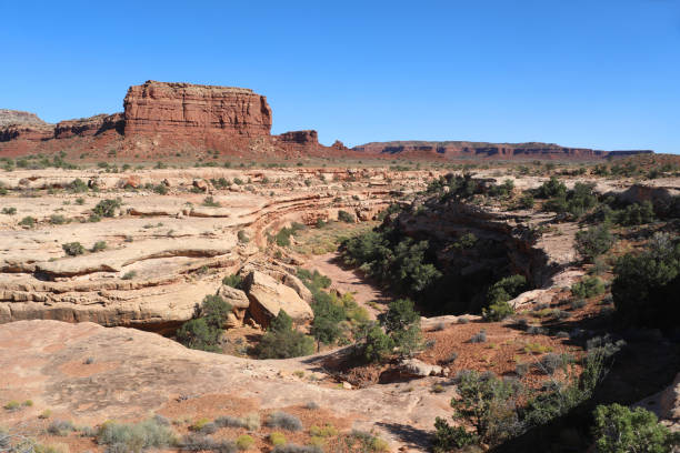 istock White Canyon Along Utah State Route 95 #2 1758181992