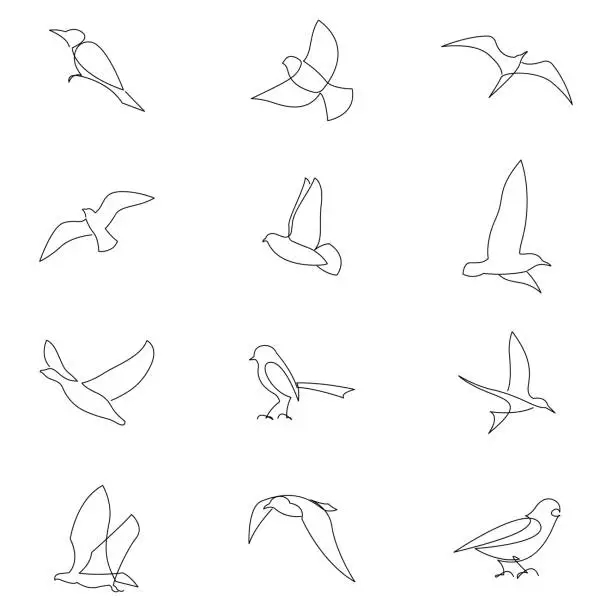 Vector illustration of Birds continuous line drawing set. Bird icon collection. Vector illustration.