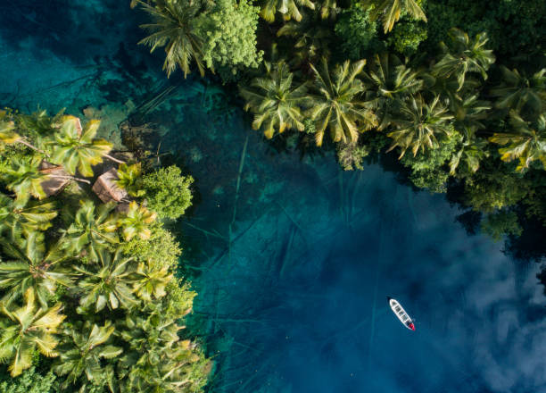 istock Paisupok lake bird view 1758256230