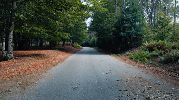 istock Mountain road in autumn season 1758272702