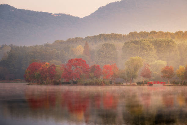 istock Misty Autumn at Mountain Zijin 1758289534