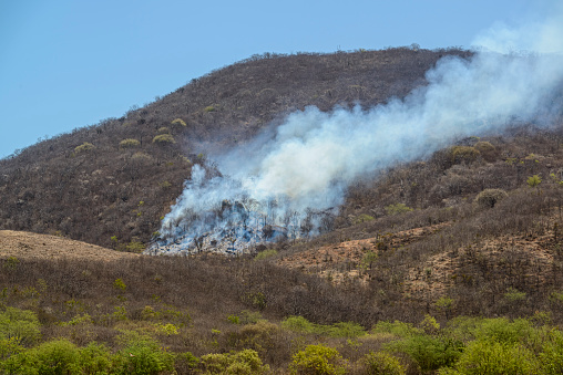 Fire and burning in the Brazilian Caatinga biome, in the hinterland of Pernambuco, Brazil on October 17, 2023. Climate change.
