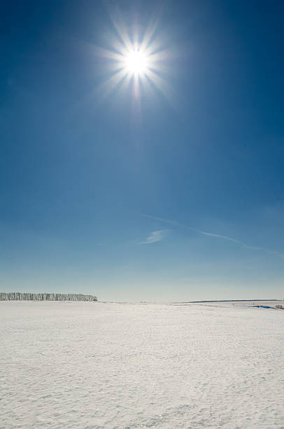 istock Landscape of snow covered field and blue sky 175832550