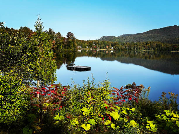istock view of a lake 1758348802