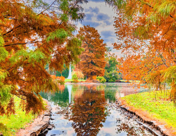 istock Birding and Hiking 1758358195