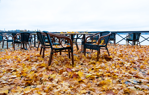 Chair and leafs