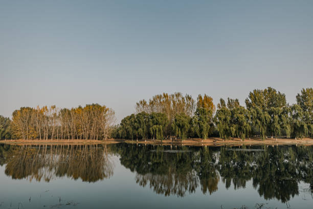istock Scenic Autumn View of Riverbank Forest 1758380338