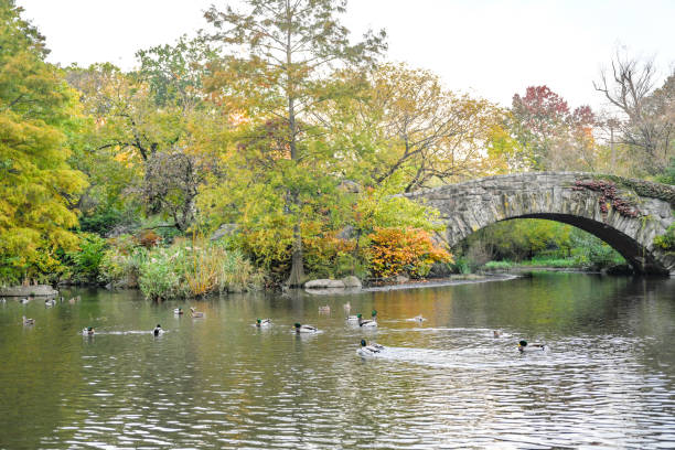 istock Central Park in Autumn 1758388881