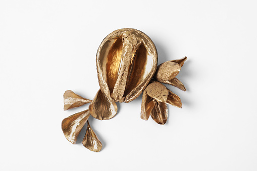 Shiny golden half of walnut and dry flowers on white background. Decor elements