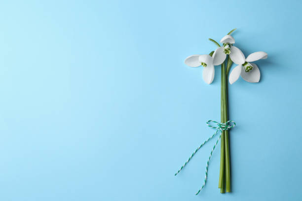 istock Beautiful snowdrops on light blue background, flat lay. Space for text 1758435610