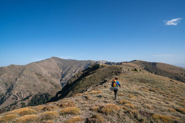 summit, peak, mountain, climbing, backpack, hiking pole
