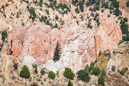 Deep sandstone canyon of red and white near Garden of the Gods and the Pikes Peak forest in Colorado Springs of western USA in North America.