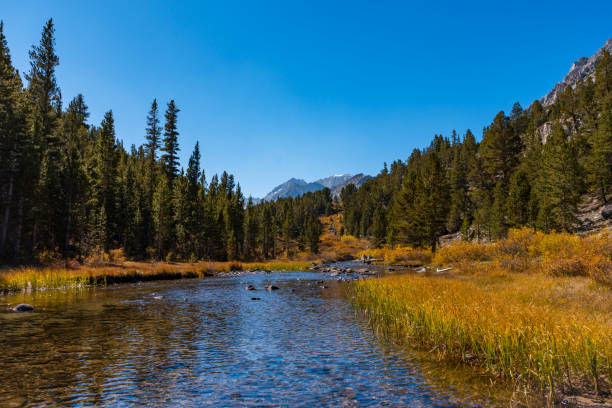 istock Fall Hiking Views of Little Lakes Valle 1758472847