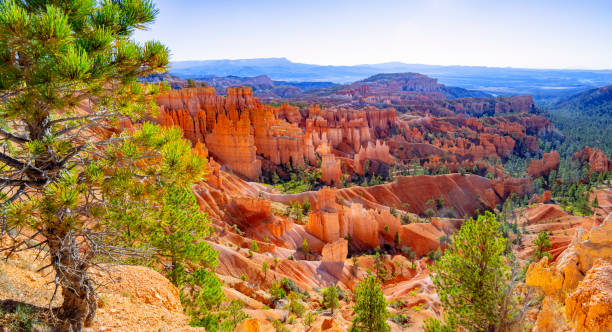 istock Bryce Canyon National Park 1758473418