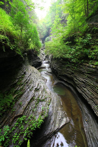 istock Watkins Glen State Park, New York 1758490902