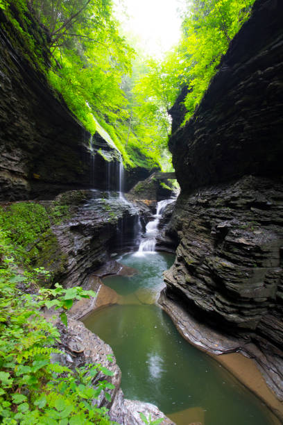 istock Watkins Glen State Park, New York 1758495928
