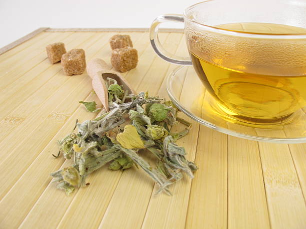 istock Cup of mountain tea 175850483