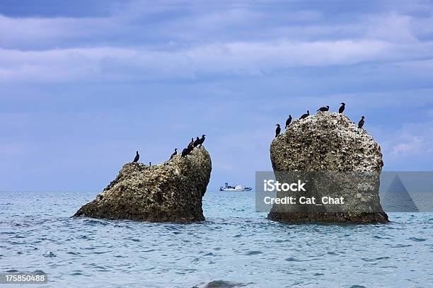 Mare Porte Dimbarco - Fotografie stock e altre immagini di Acqua - Acqua, Ambientazione esterna, Animale selvatico