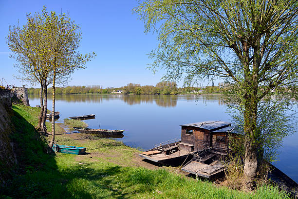 rive del fiume vienne - chinon foto e immagini stock