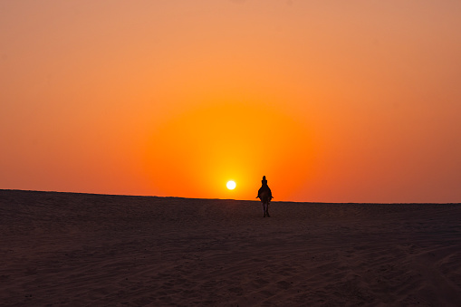 Camel Caravan at Sunset in the Doha Desert Photo, Doha Qatar