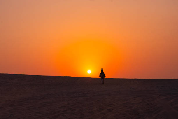 camel caravan at sunset in the doha desert photo, doha qatar - cor camel imagens e fotografias de stock