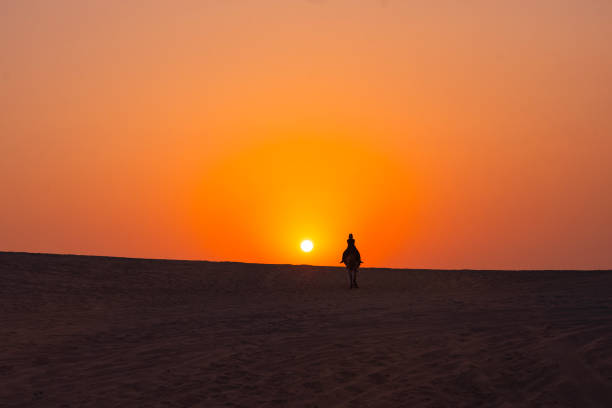 camel caravan at sunset in the doha desert photo, doha qatar - journey camel travel desert imagens e fotografias de stock