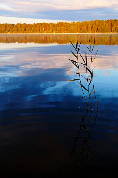 istock Landscape with the lake. 175852883