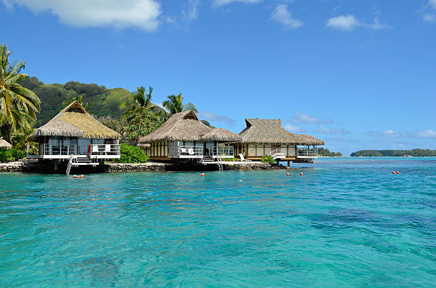 istock Luxury thatched roof honeymoon bungalows 175853208