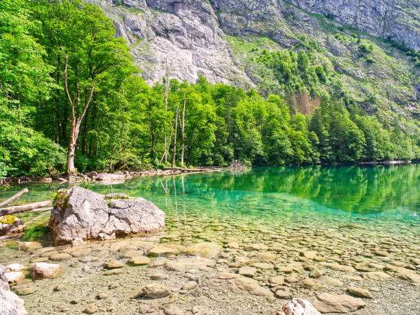 istock Lakeshore crystal clear calm lake water 1758535350
