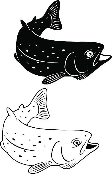 Vector illustration of trout