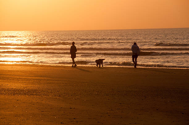istock Couple on beach with dog 175857293