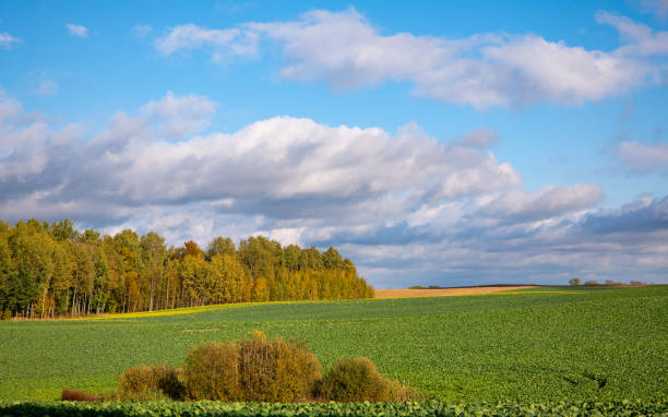 istock Farmland in Poland 1758581371