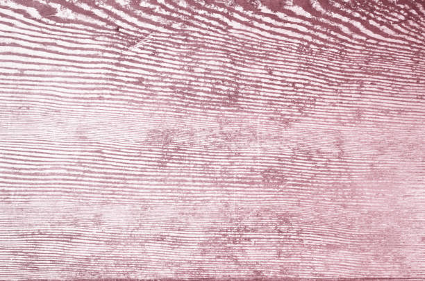 Old wood grain texture