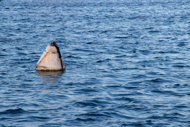 istock Mooring buoy in the water 1758604943