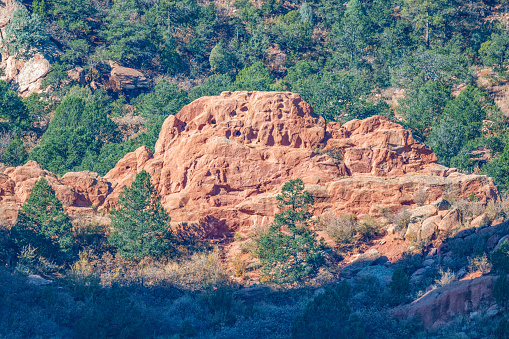 Massive sandstone formation of red and white rock in the Garden of the Gods and the Pikes Peak forest in Colorado Springs of western USA in North America.