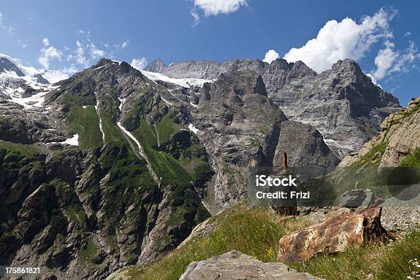 Alpi Svizzere - Fotografie stock e altre immagini di Alpi - Alpi, Alpi Bernesi, Ambientazione esterna