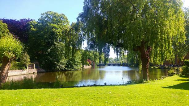 istock Brugge Belgium city park 1758637376