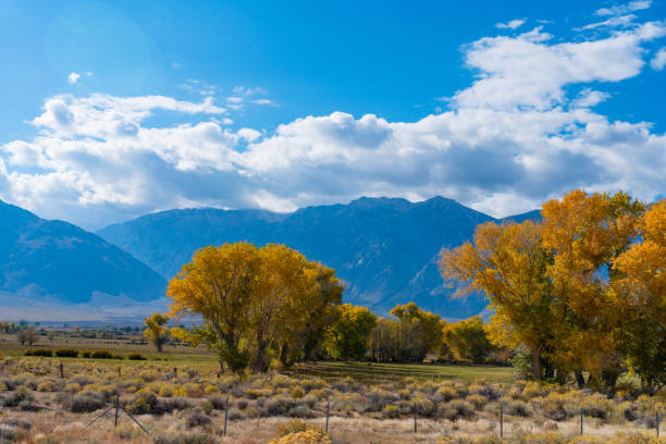 istock Autumn colors in Owens Valley, California 1758645193