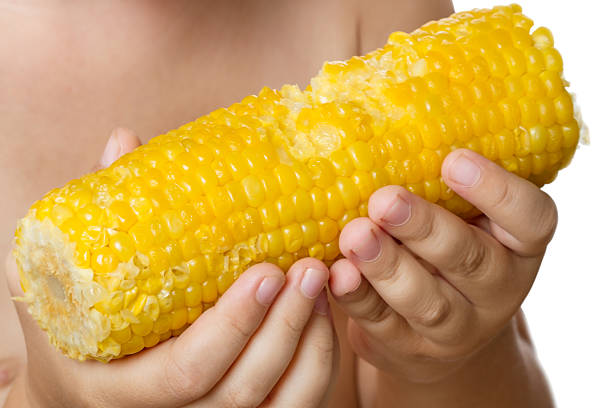 mais bambino mangia bollito - corn on the cob corn cooked boiled foto e immagini stock