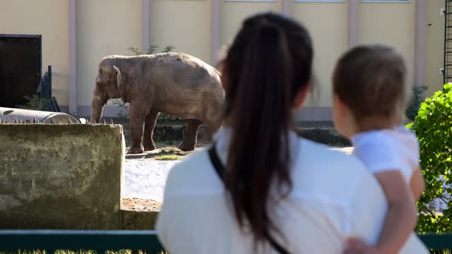 Mother with daughter watches venerable elephant stepping hard