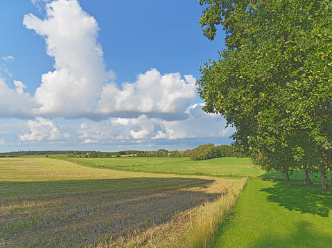 Photo of farmland & countryside in late summer early autumn made by Medium Format camera