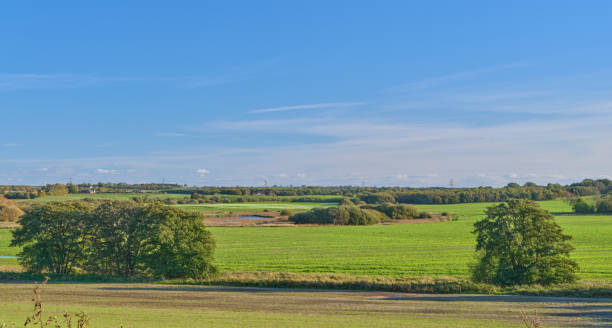 istock Green fields and blue sky in late summer early winter 1758744723