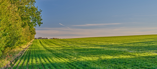 Photo of farmland & countryside in late summer early autumn made by Medium Format camera