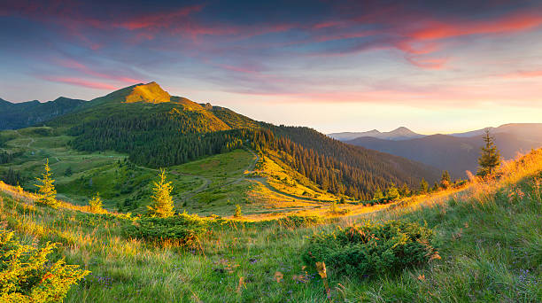 istock Beautiful summer landscape in the mountains 175875885