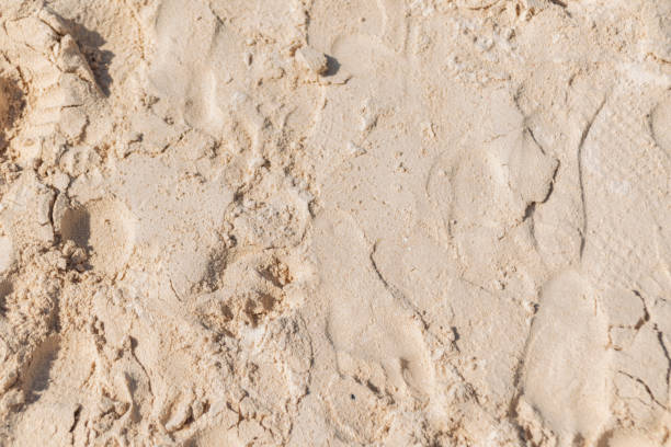 istock Beautiful sand beach and footprints 1758769586