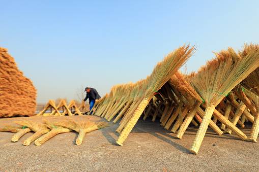 LUANNAN COUNTY, China - December 6, 2020: The workers are drying the processed brooms in a workshop, LUANNAN COUNTY, Hebei Province, China
